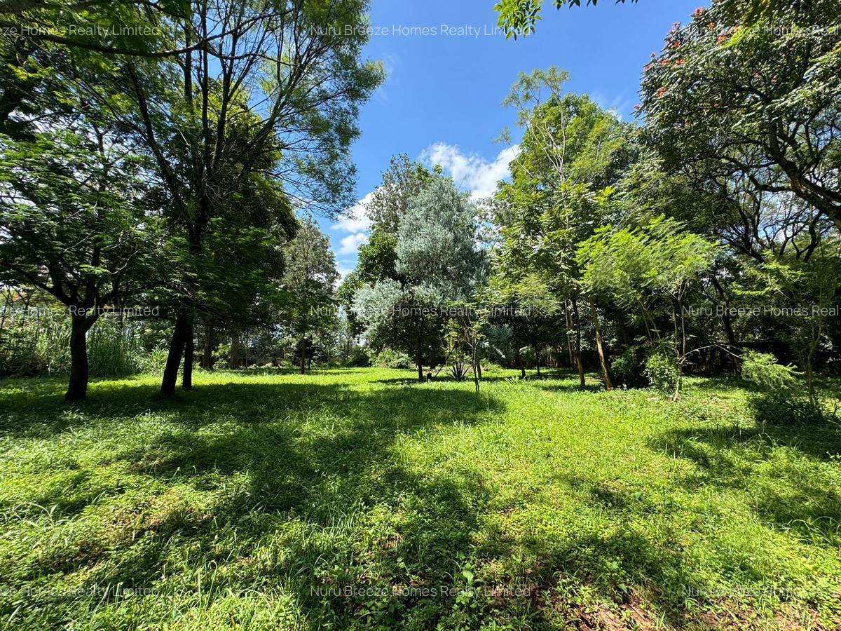 0.5 ac Residential Land in Kitisuru - 9