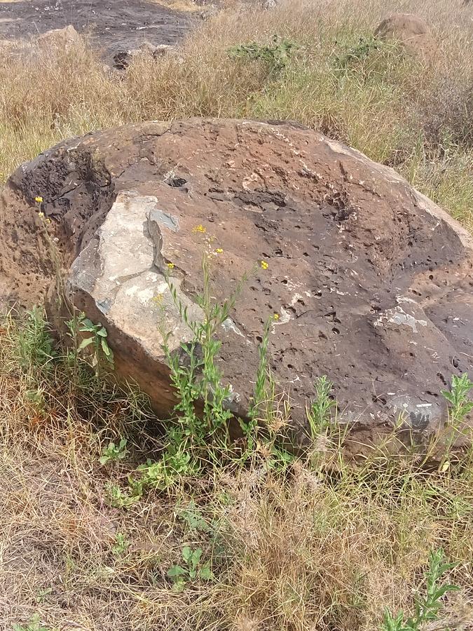land in isinya