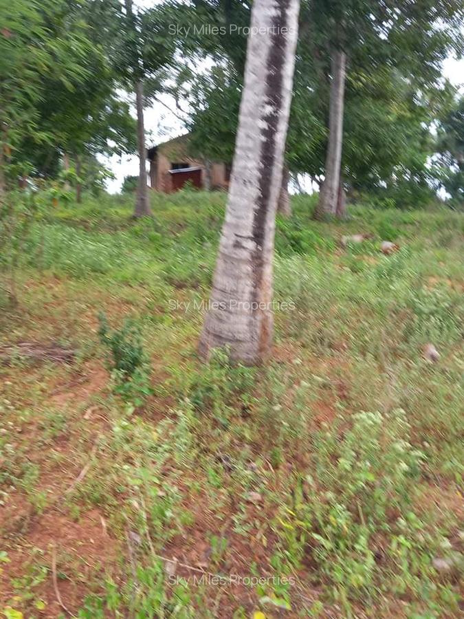 6 m² Land at Bomani - 1