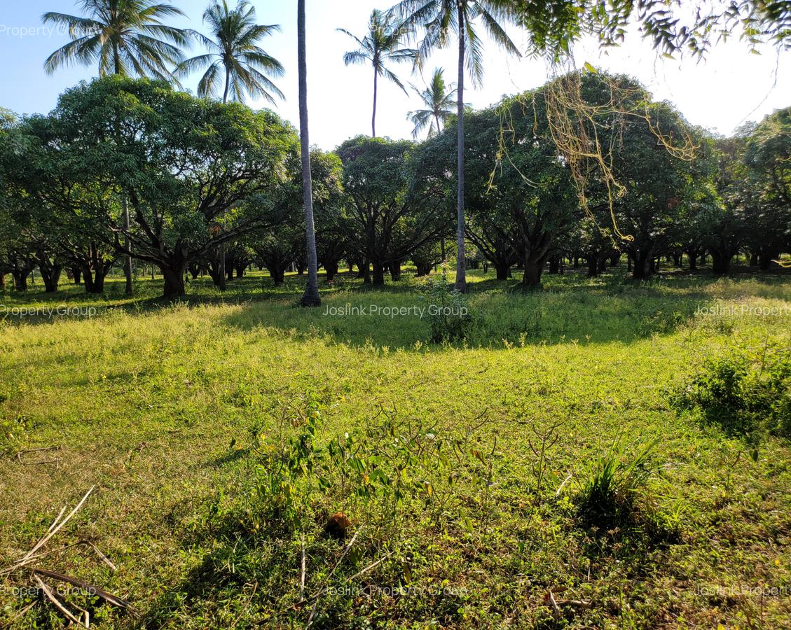 Residential Land in Nyali Area - 17