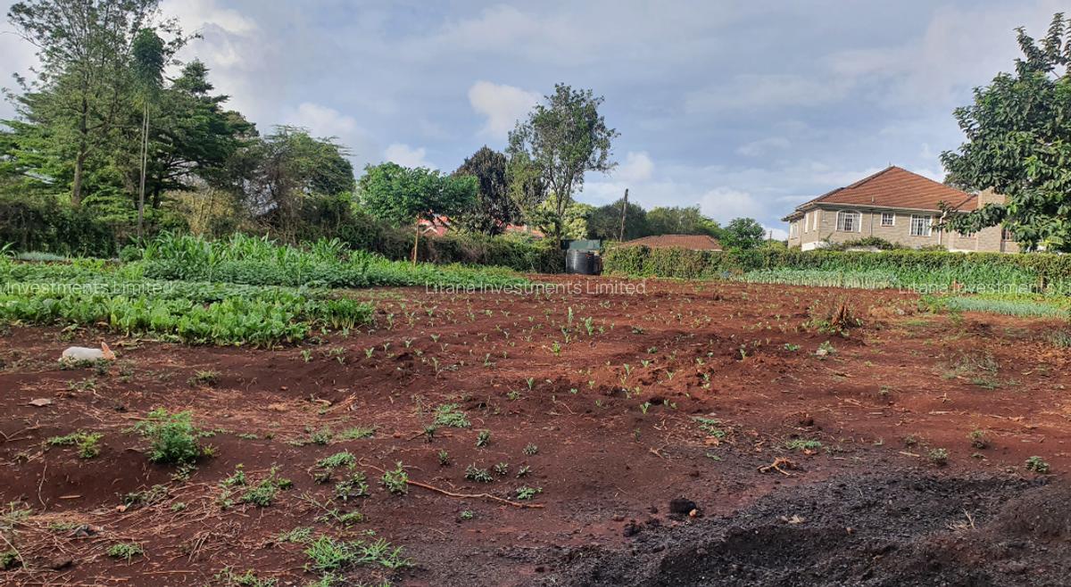 1.2 ac Land at Old Runda - 3