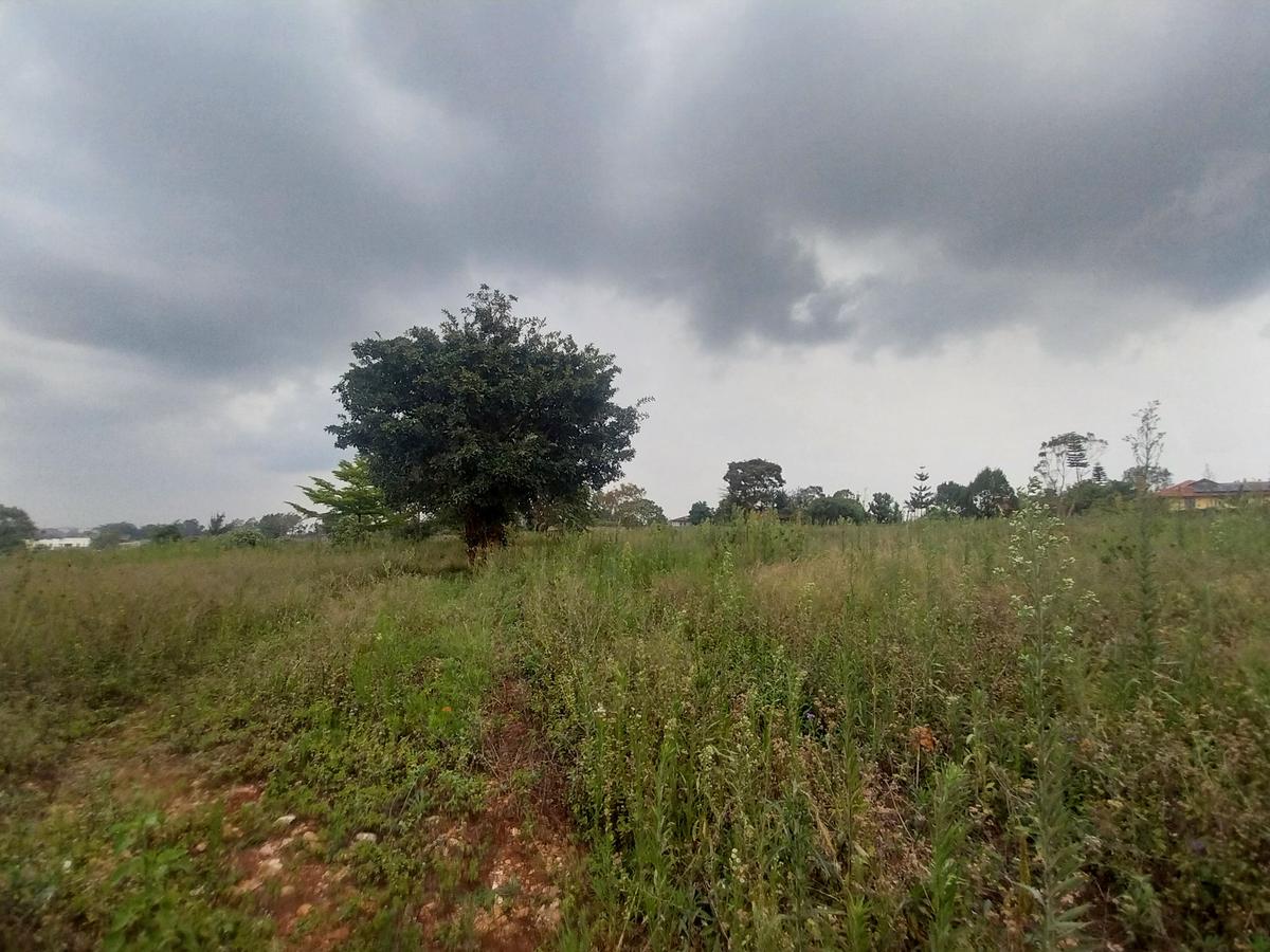 3.1 ac Land in Runda - 1