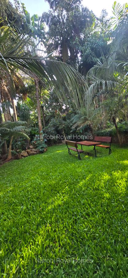 Furnished 3 Bed Apartment with En Suite at Nyari Redhil Road - 5