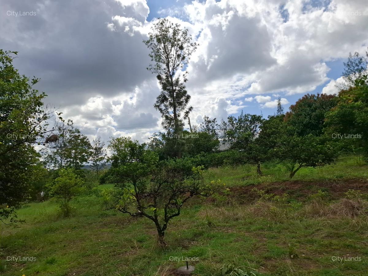 450 ha Land at Kenol Makuyu - 1