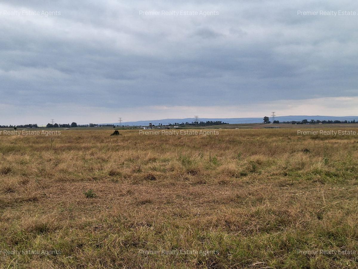 700 ac Land at Bisil - 5