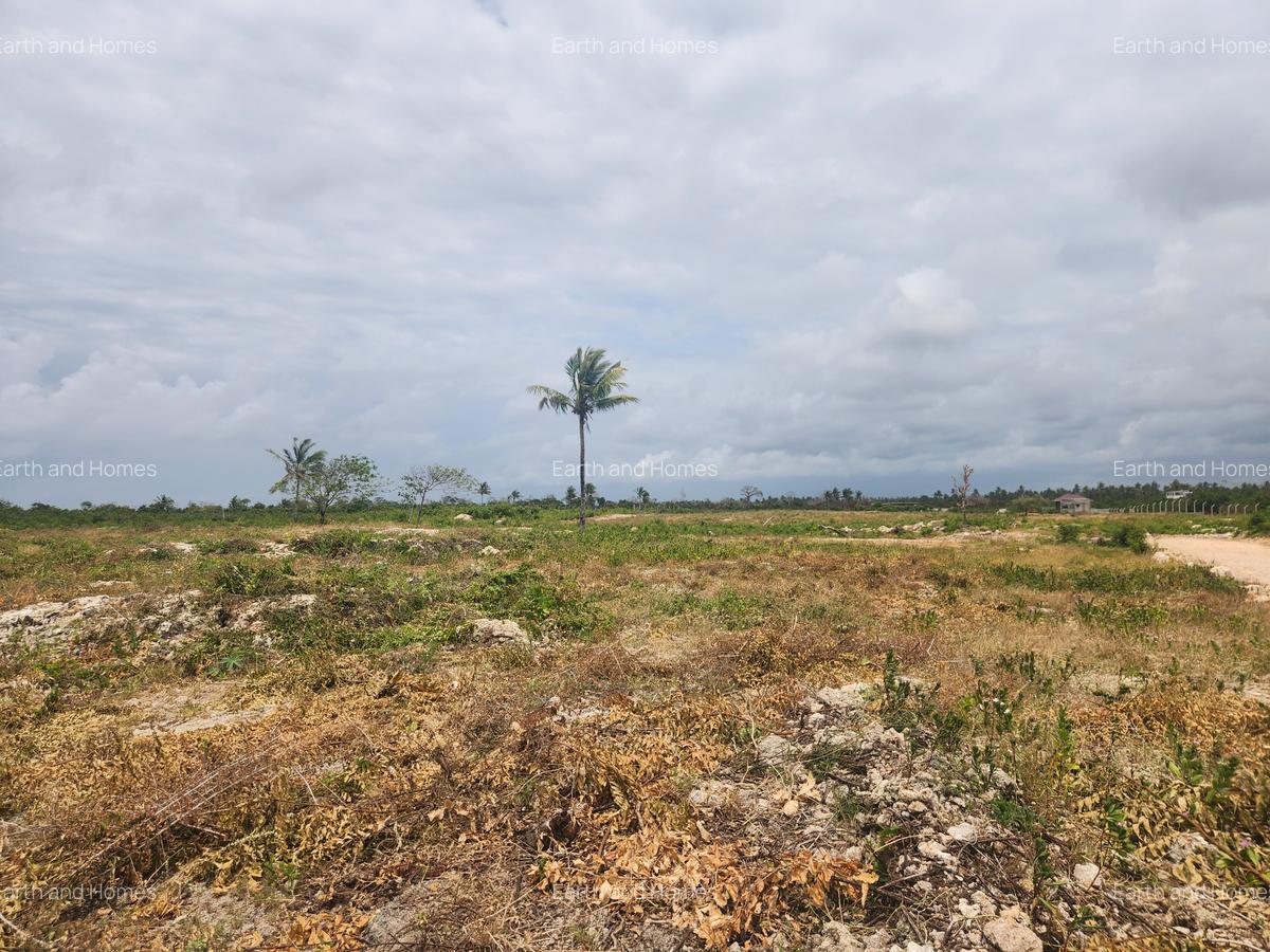 Land at New Jacaranda Beach Road - 4