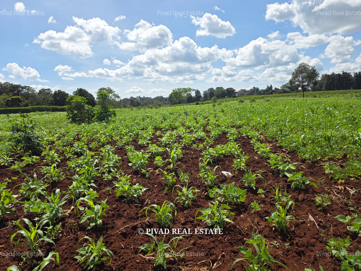 10 ac Land at New Kitisuru - 5