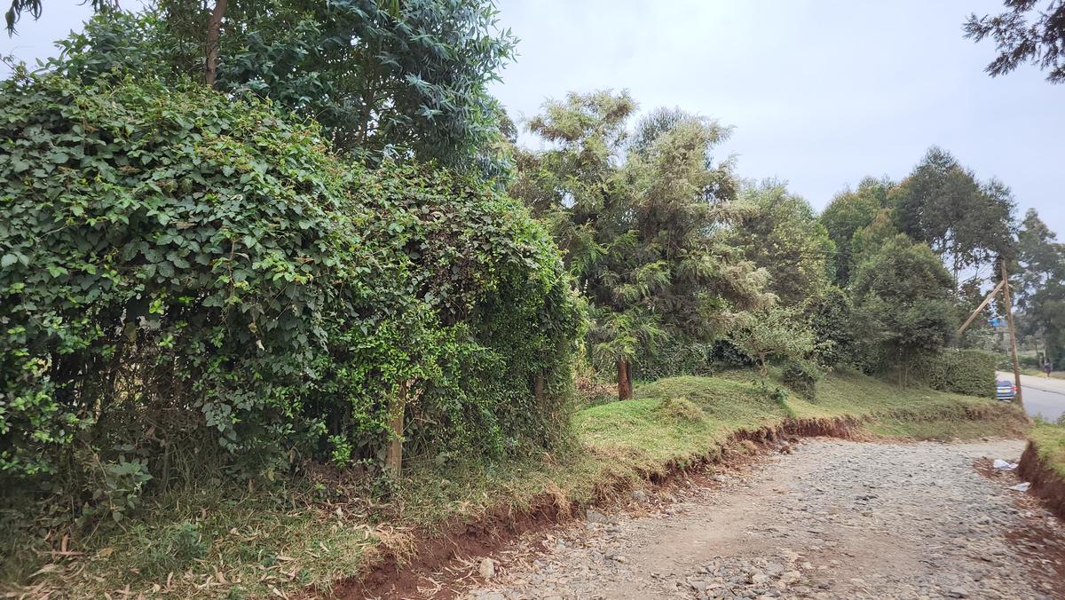 1.2 ac Land at Limuru - Kamandura - 6