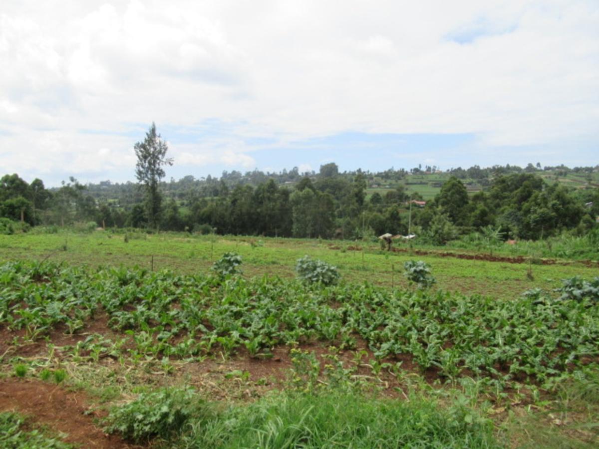 3.25 ac Land at Ngecha-Wangige Rd - 12