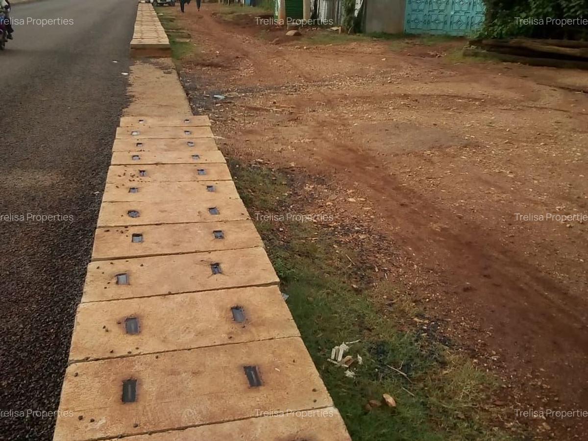 0.8 ac Land at Kisumu-Kakamega Road - 2