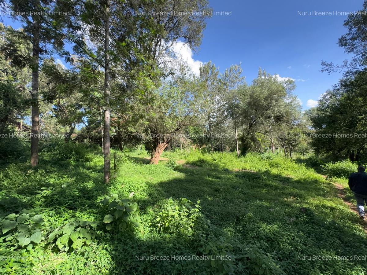 0.5 ac Land in Lake View - 3