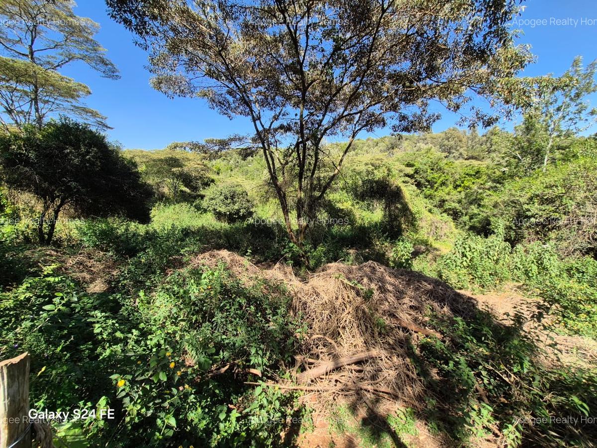 2.3 ac Land at Karen - 4