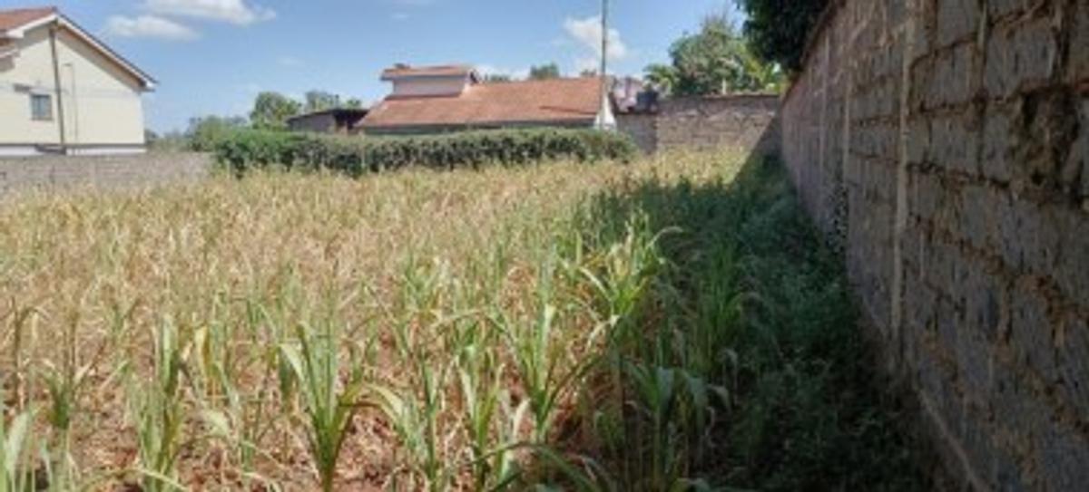 0.5 ac Residential Land at Near Quickmatt Supermarket Kahawa Sukari - 3