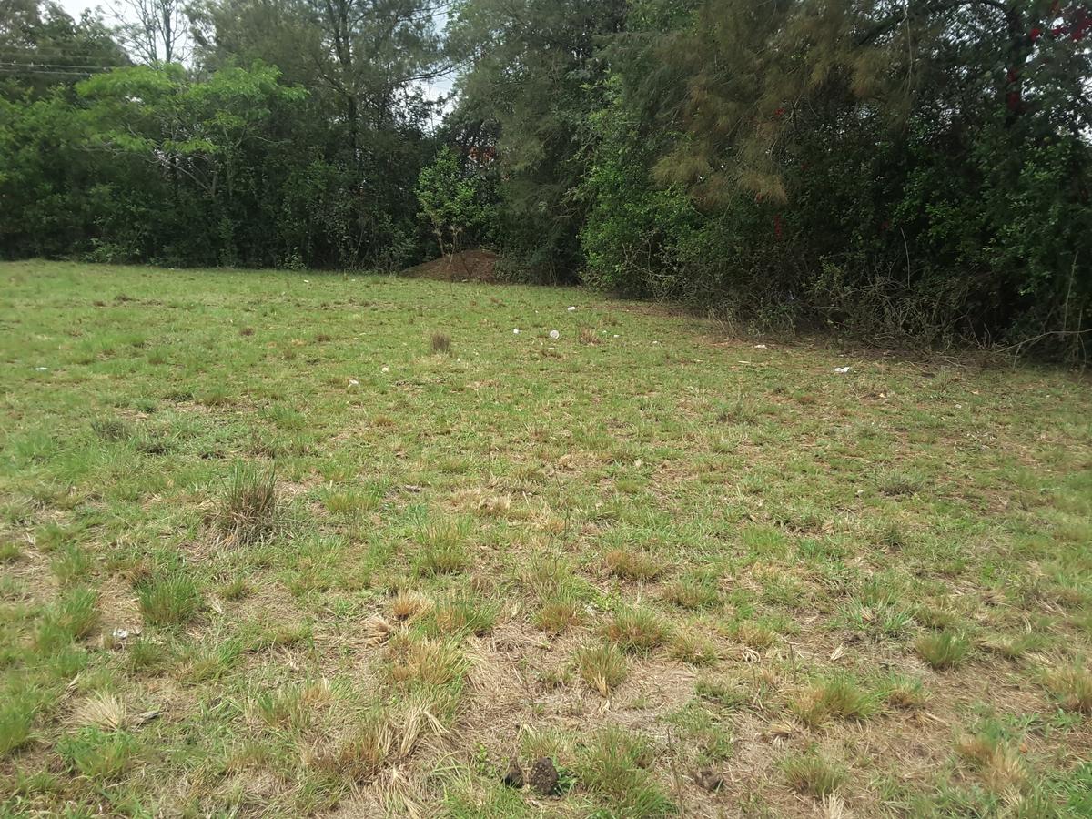 0.5 ac Residential Land in Karen - 7