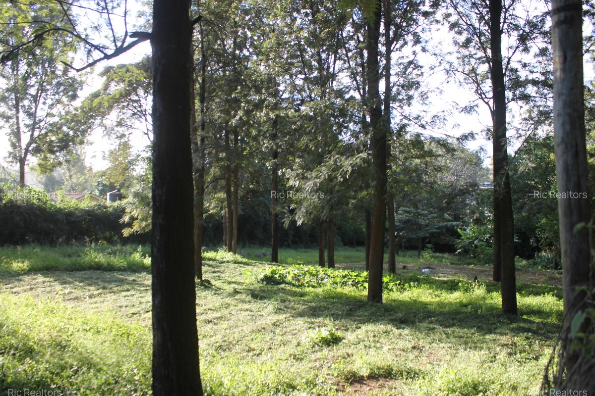 0.6 ha Land at Magadi Road - 10