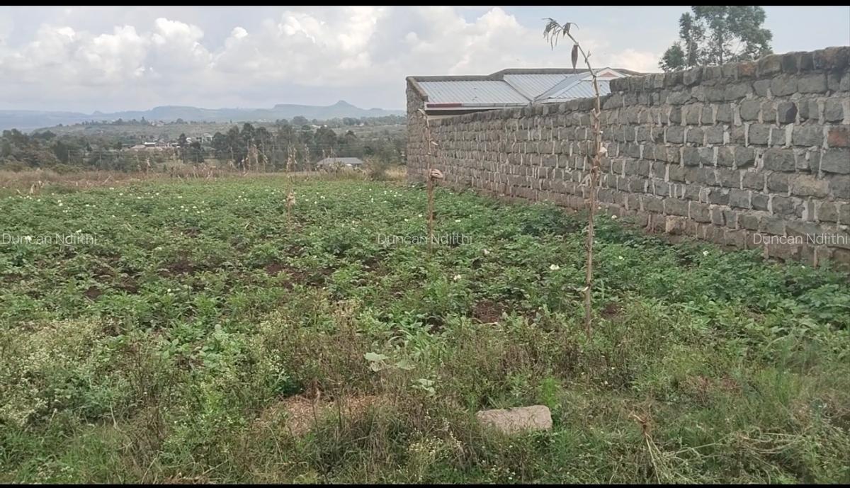 Residential Land at Gema - 4