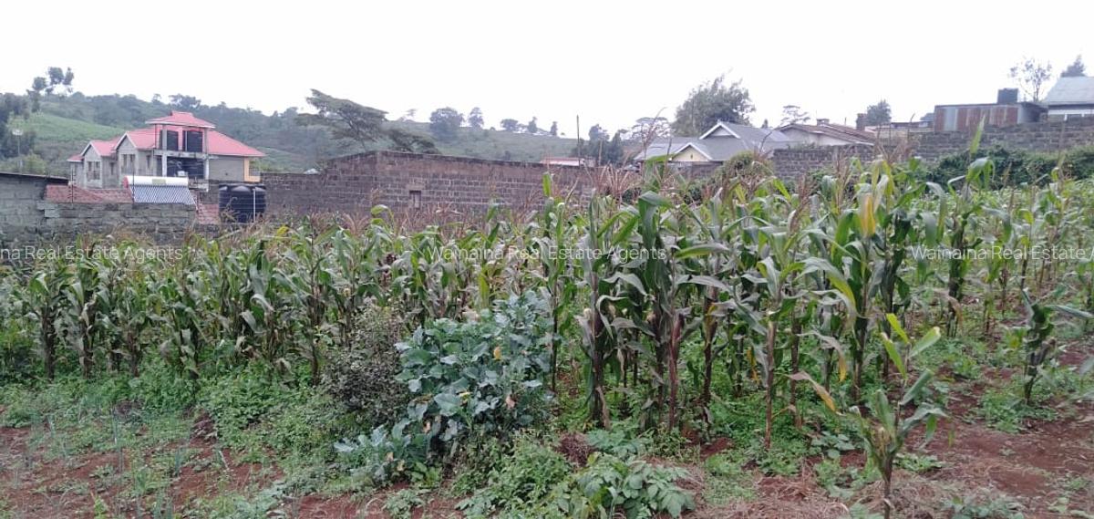 5,000 m² Land at Limuru-Karanjee - 11