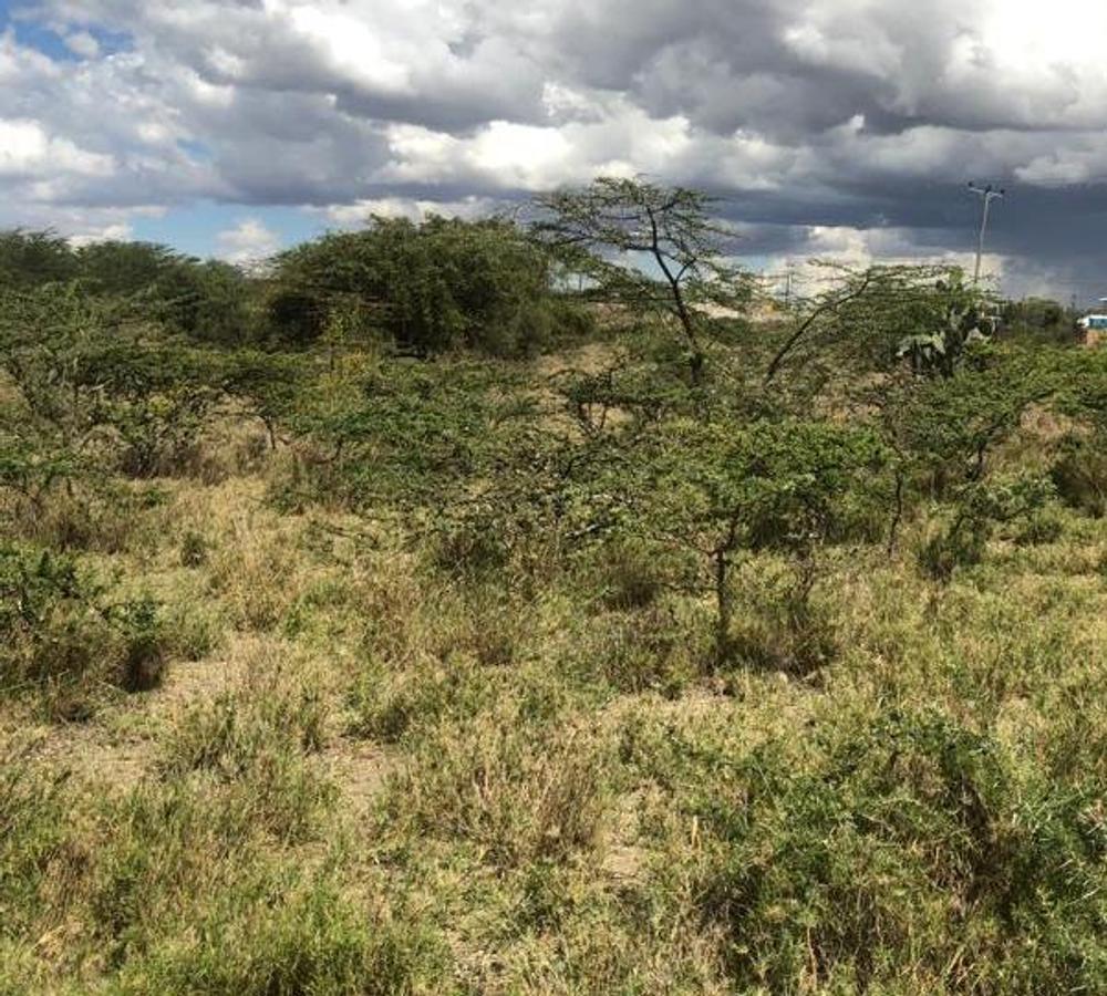 Residential Land at Kaputei - 2