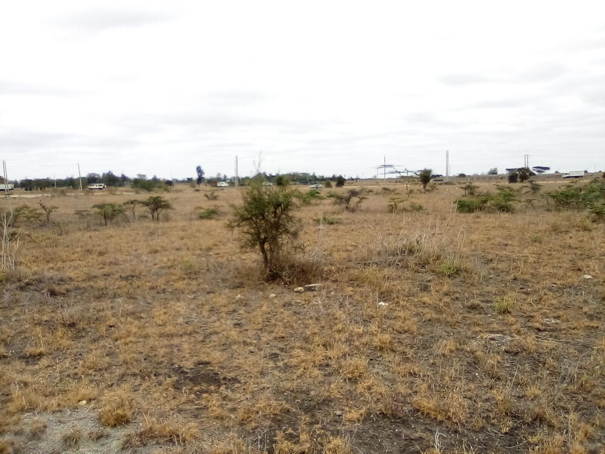 Land at Namanga Rd - 4