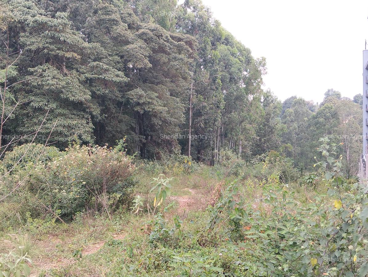 Commercial Land at Kirawa Road - 3