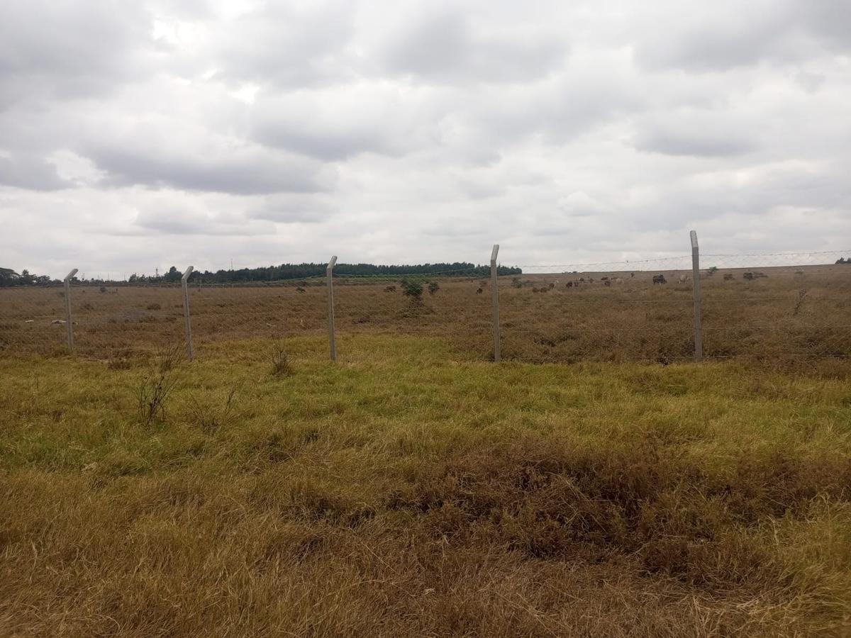 0.25 ac Residential Land at Isinya-Pipeline Road - 2