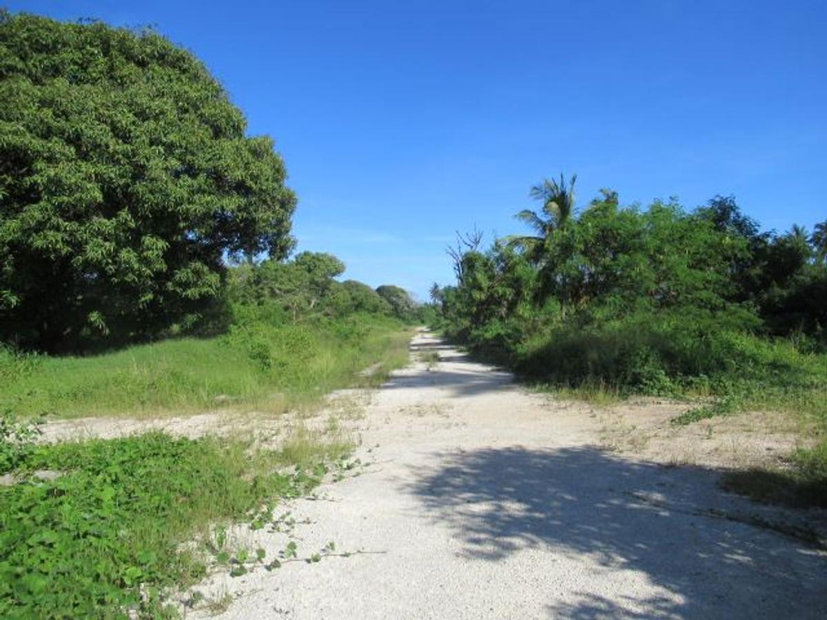 506 m² Residential Land at Malindi Road - 6