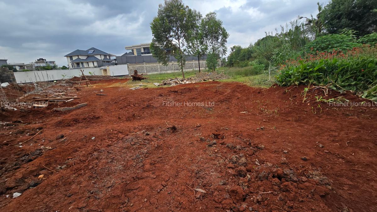 0.5 ac Residential Land in Ridgeways - 12