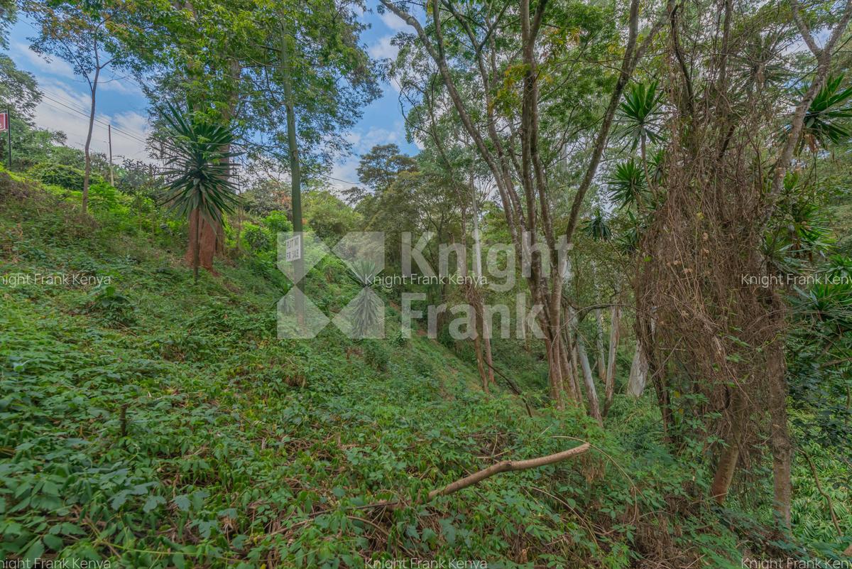 0.49 ac Land at Kitisuru Road - 10