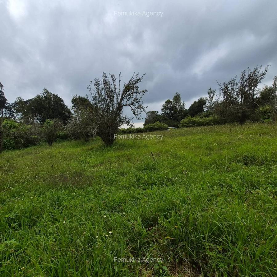 Commercial Land in Tigoni - 5