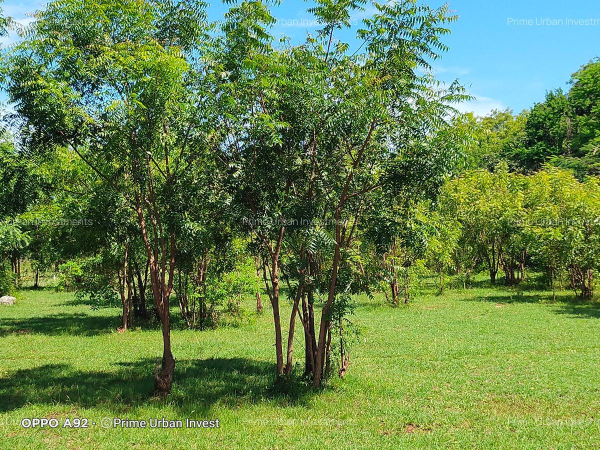 Land in Vipingo - 16