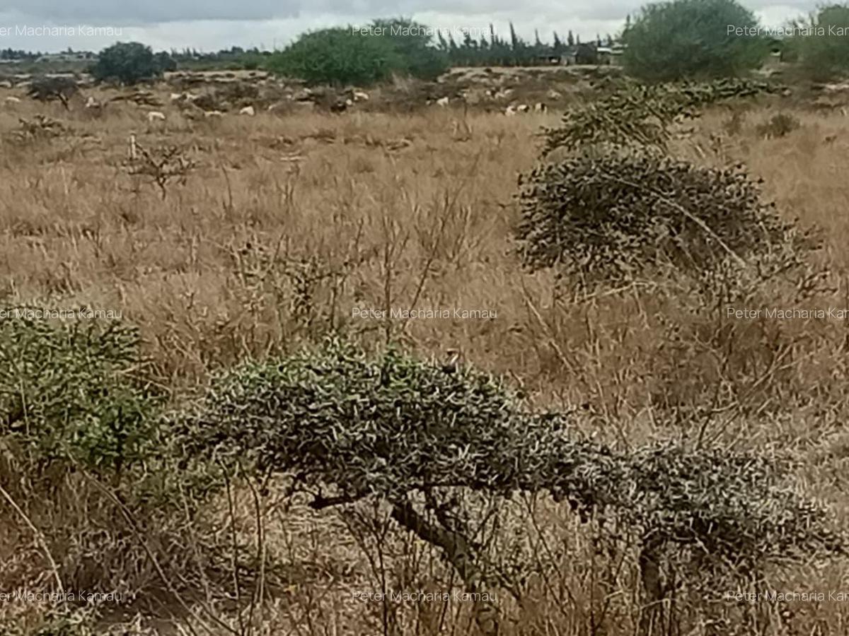 50 ac Land in Konza City - 5