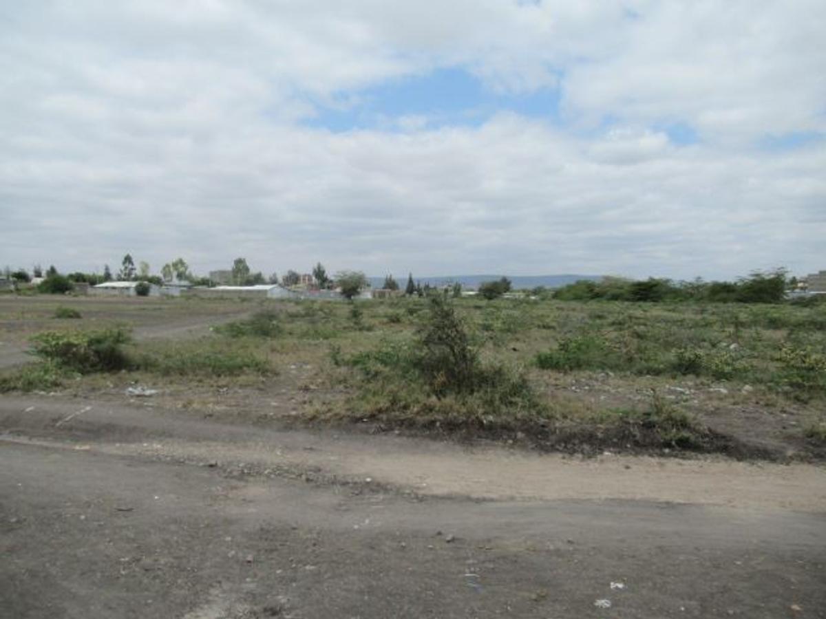 Residential Land at Kitengela - 10