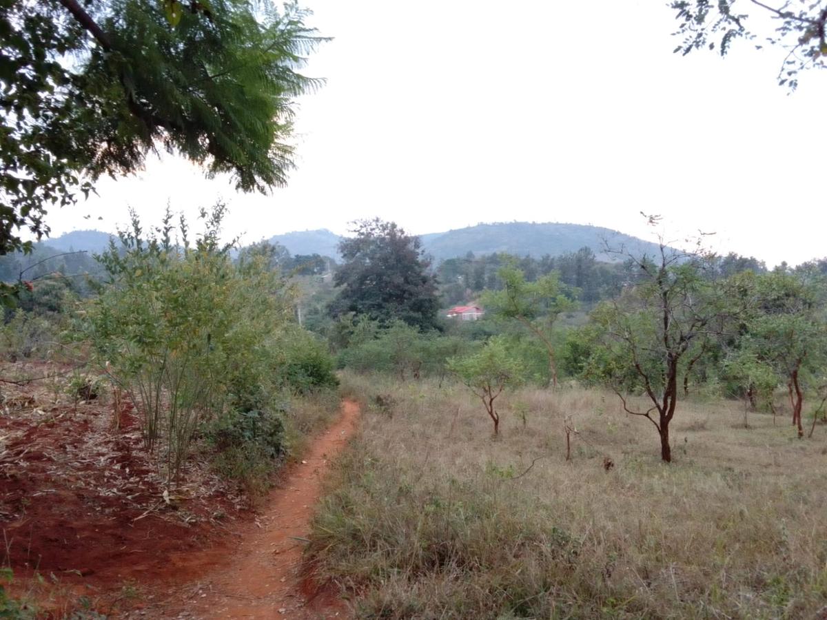 9 ac Land at Ithanga - 15