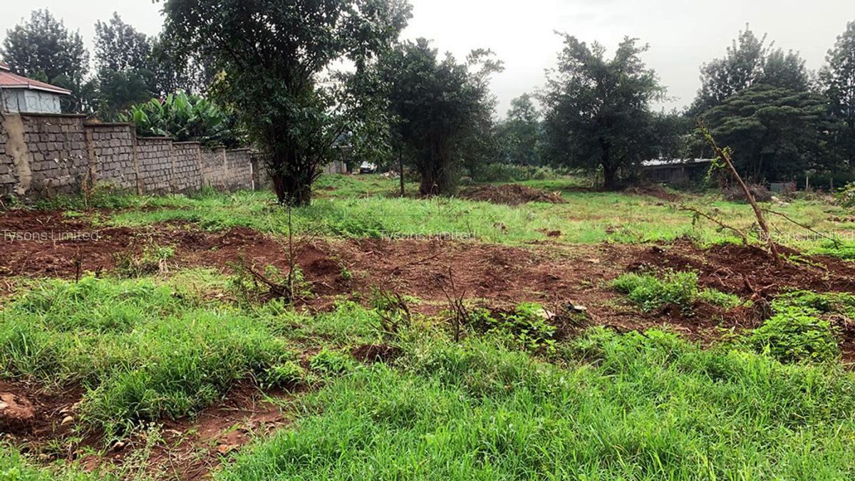 Land in Thindigua - 2