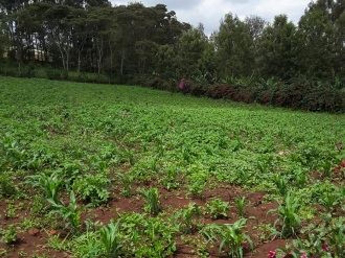 0.113 ac Land in Ngong - 3