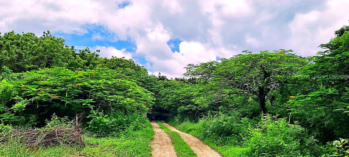 167.5 ac Land at Kuruwitu Beach - 11