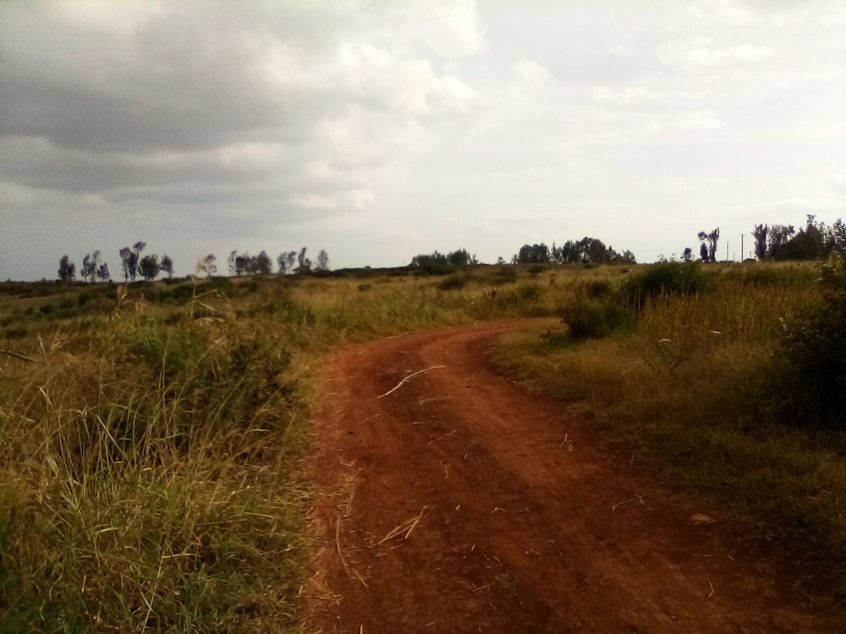 Land at Manira Trail - 2