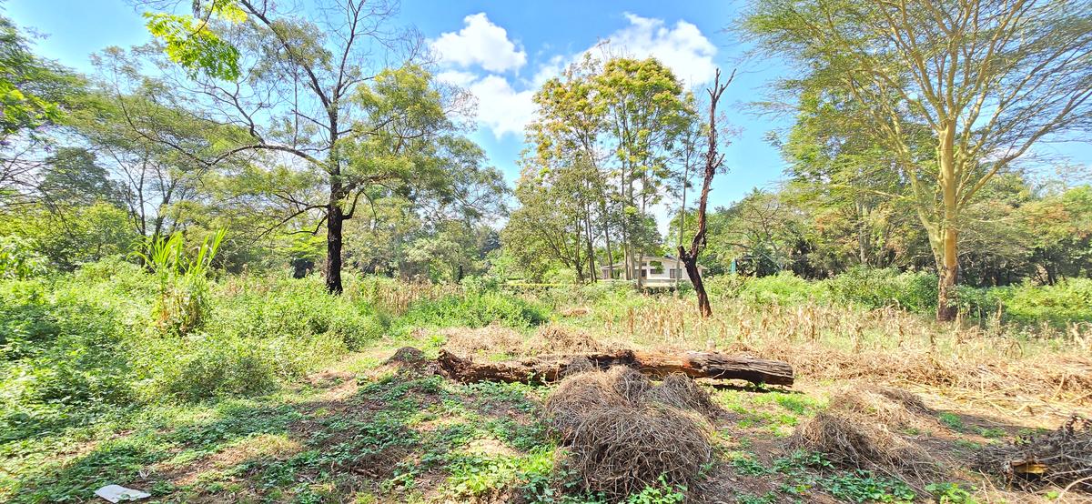 Residential Land at Shanzu Road - 18