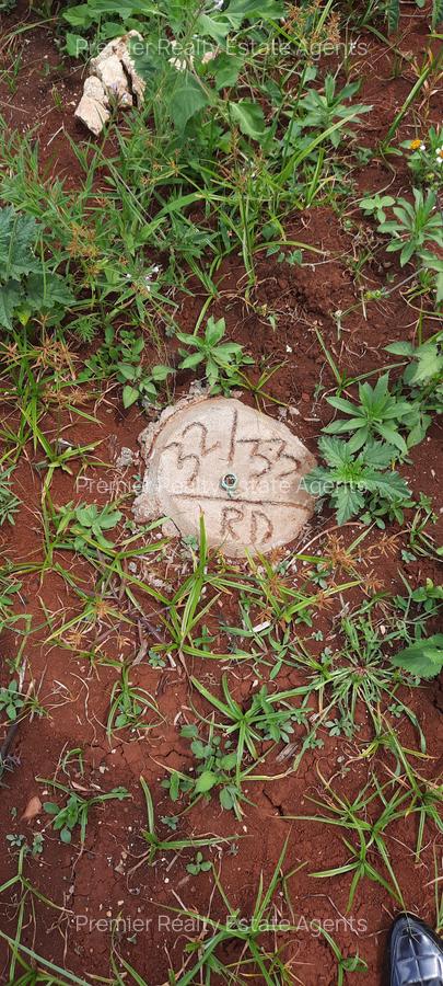 0.125 ac Commercial Land at Muchatha - 10