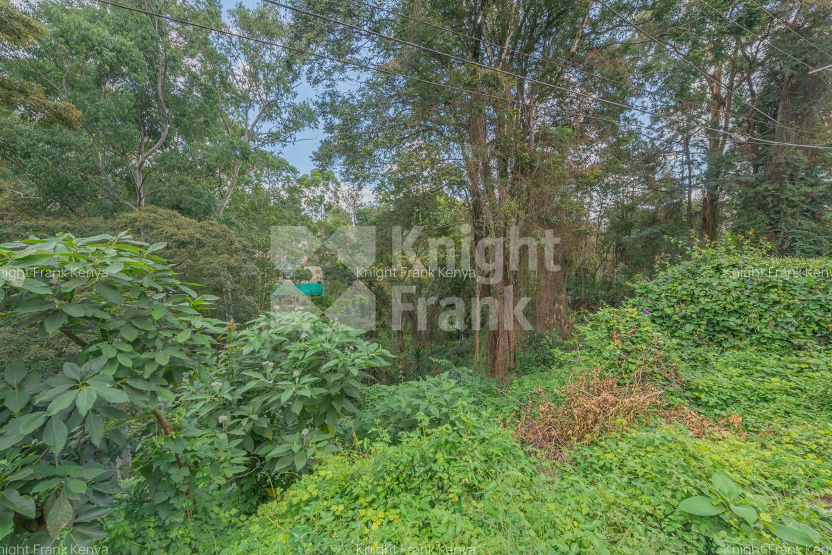 0.49 ac Land at Kitisuru Road - 6
