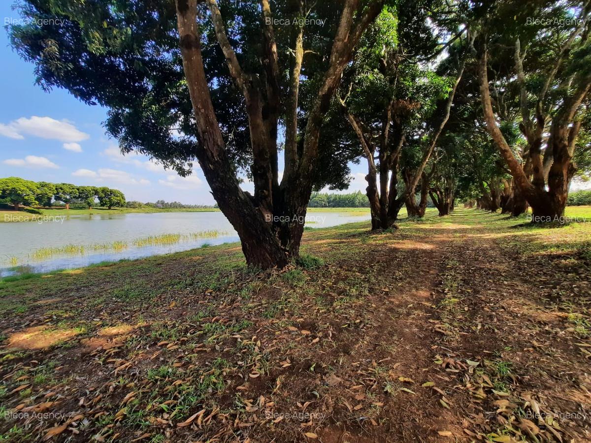 Residential Land at Juja- Gatundu Road - 14