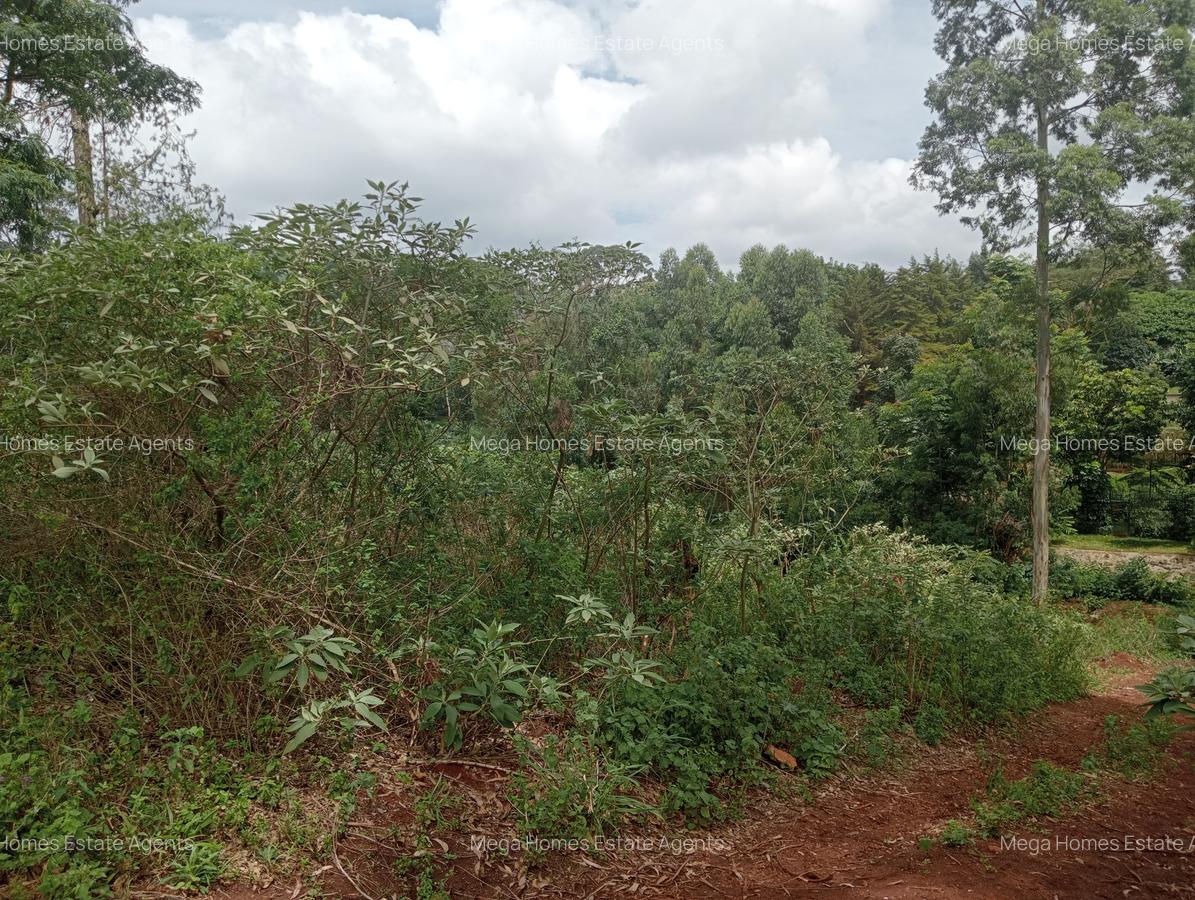 Residential Land in Runda - 3