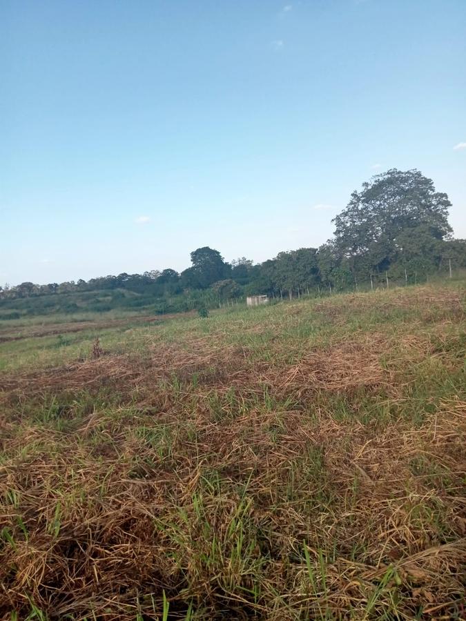 1 ha Residential Land in Tatu City - 9