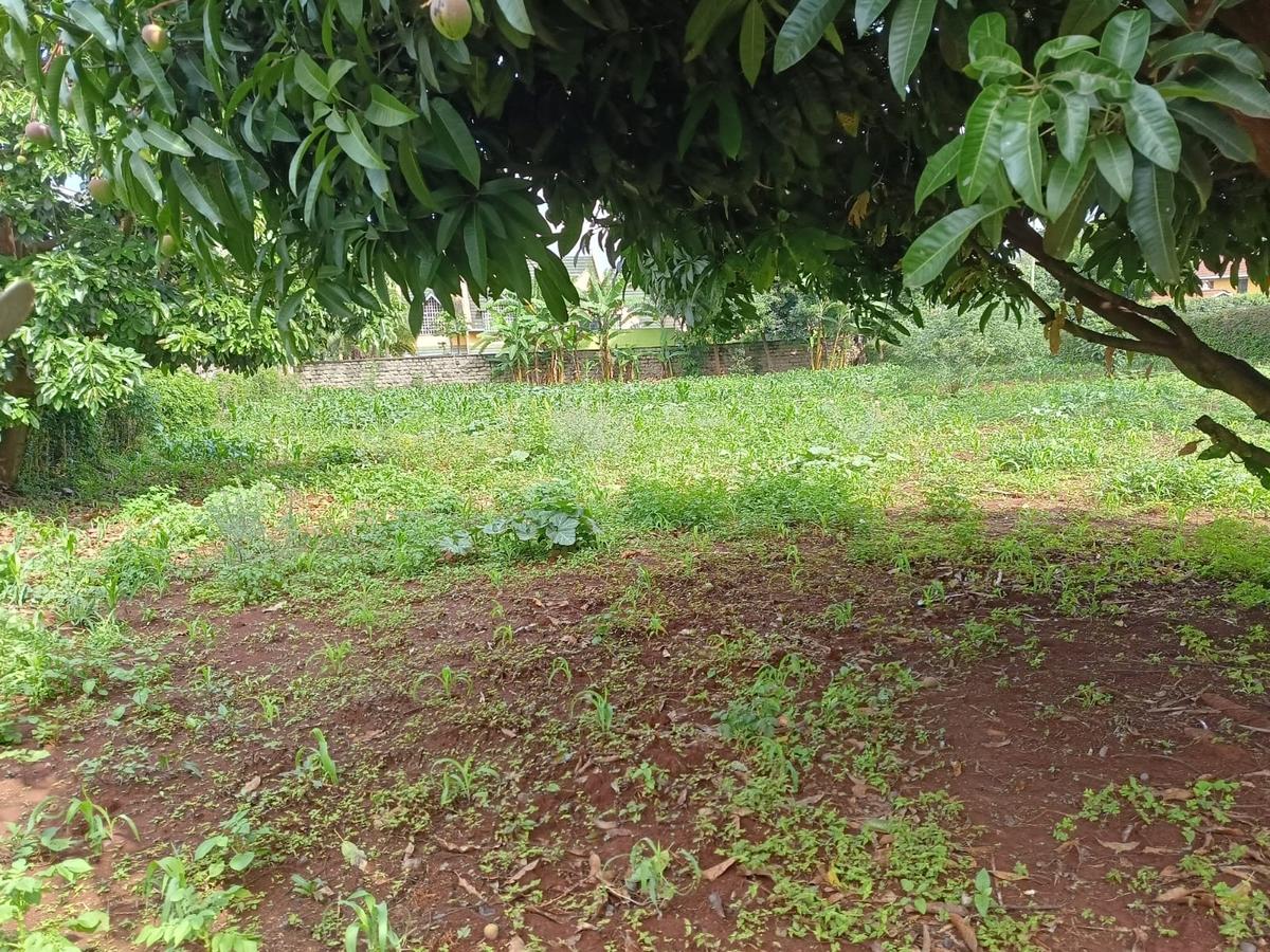 Residential Land at Runda - 2