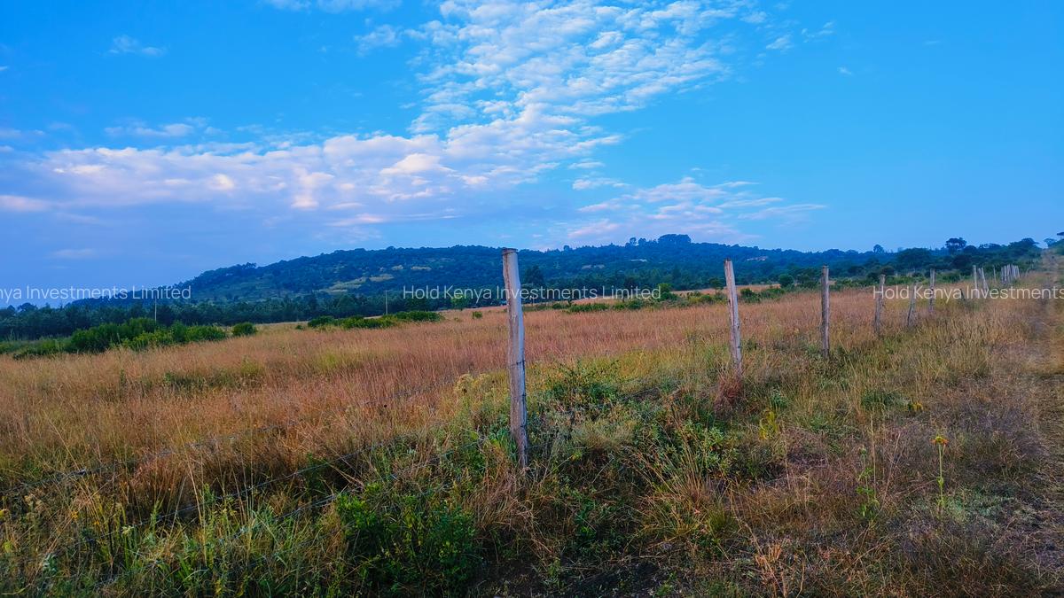 10 ac Land at Mweiga - 1