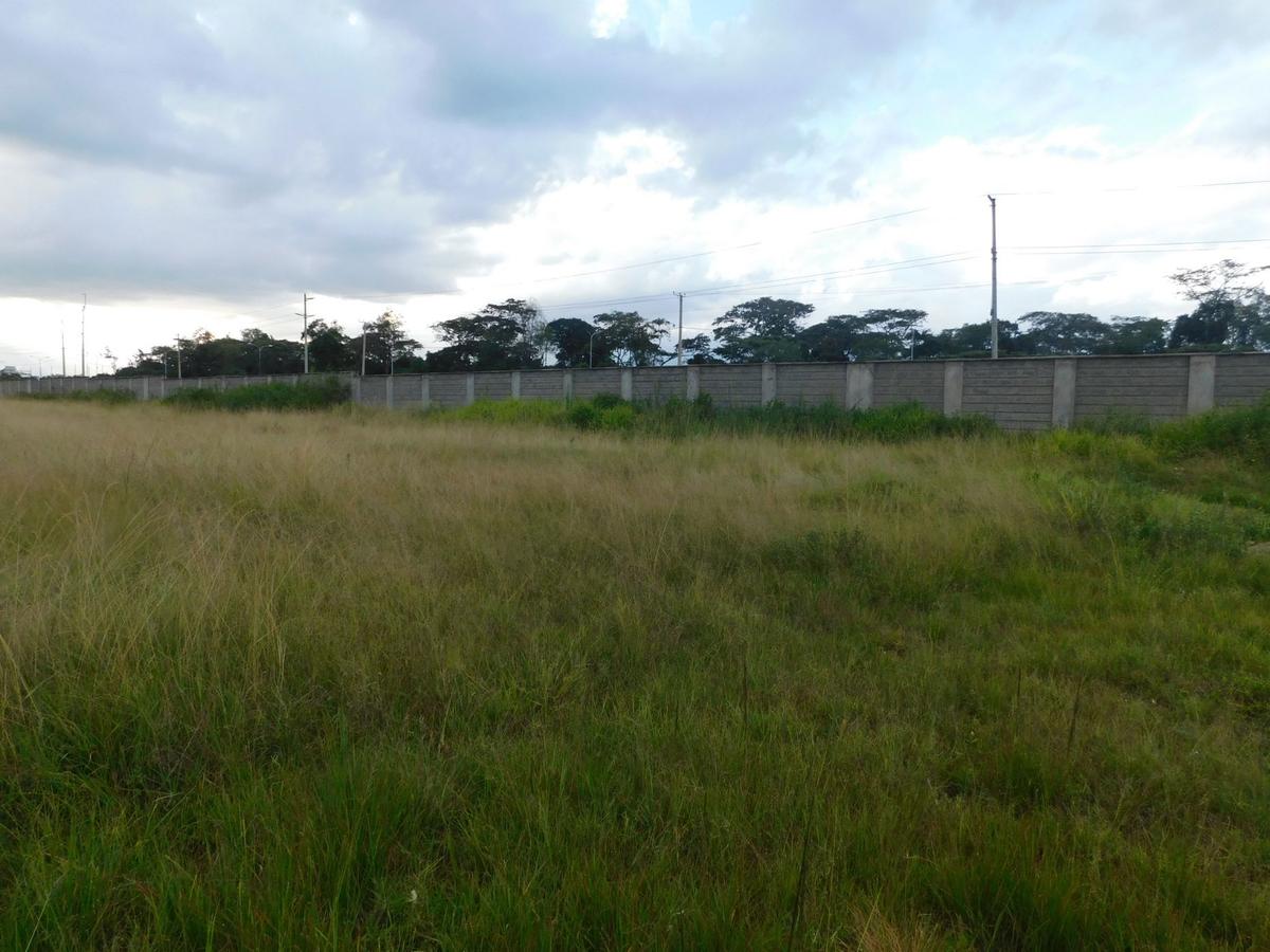 Residential Land in Karen - 4