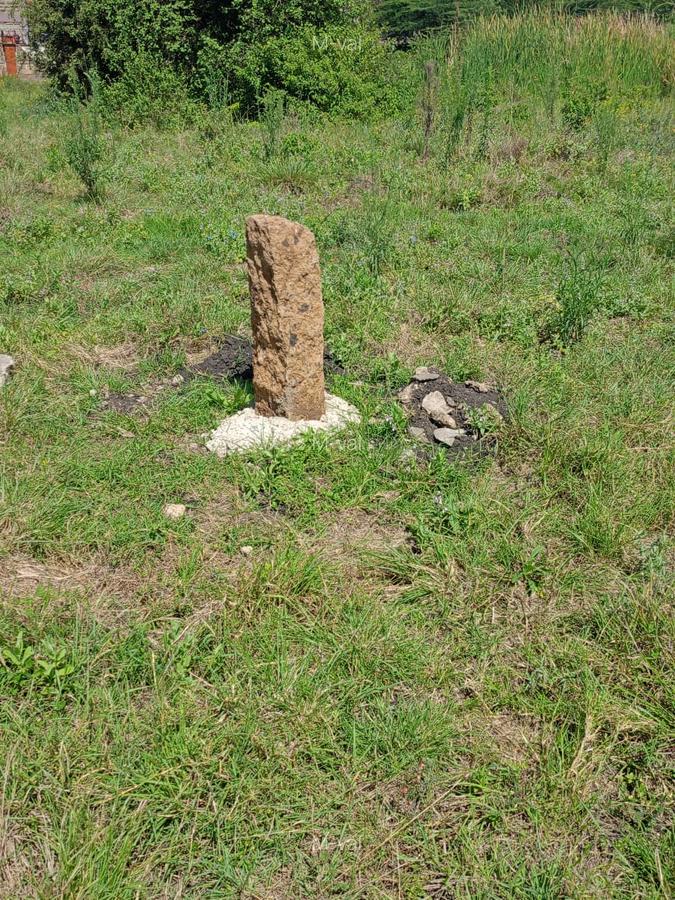 0.229 ac Commercial Land at Masai Lodge - 7