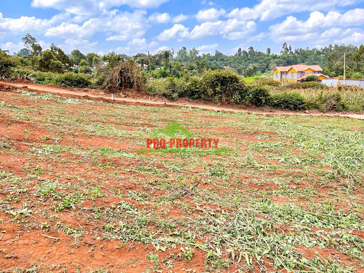 0.05 ha Residential Land at Ondiri - 6