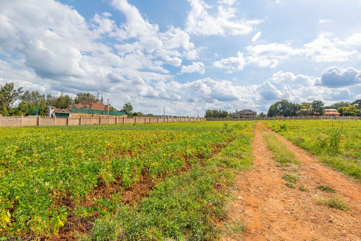 Residential Land in Kiambu Town - 5