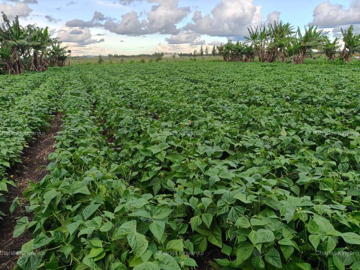 10.75 ac Land at Kisaju - 13